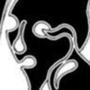 Meet your Posher, Max